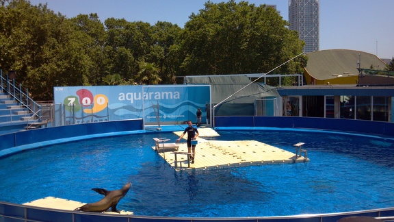 2012-06-26 13-10-34 458