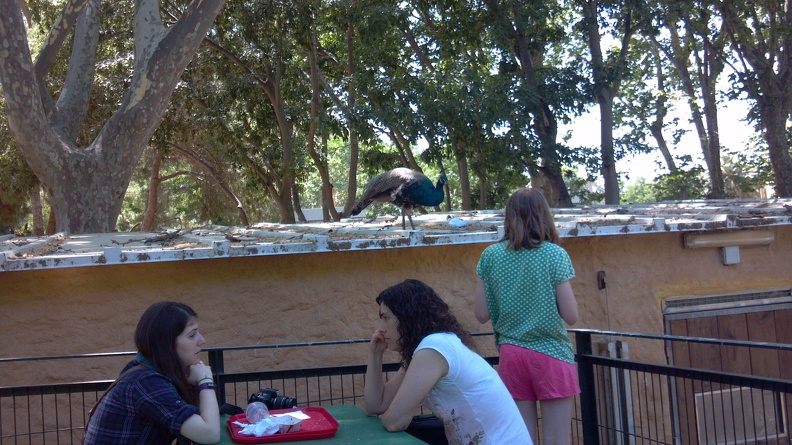 2012-06-26 14-57-02 743