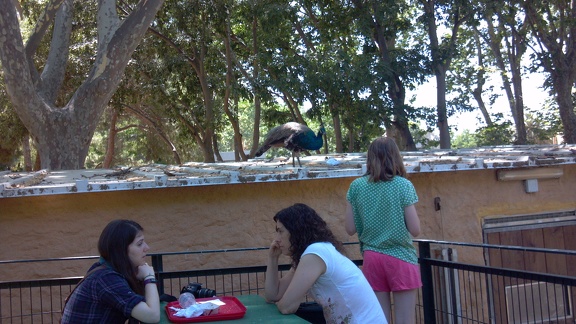 2012-06-26 14-57-02 743