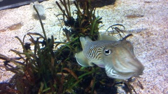 2012-06-26 17-10-01 226