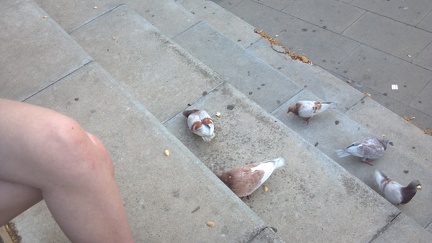 2012-06-29 07-33-06 587