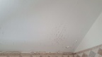 20190406 100046