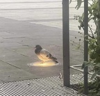 417431690 8058698194146640 429298292627963596 n