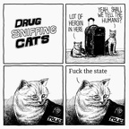 n9zdhz3aqpr21