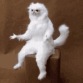 white-monkey-confused