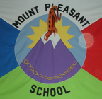newtflag