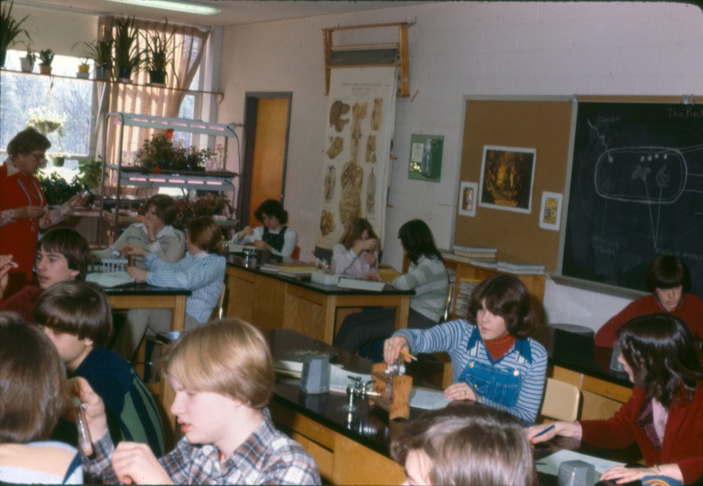 scan0015.jpg