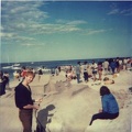 sandhous