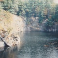 SCN 0199