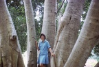 Slides 02 004