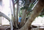 Slides 02 005