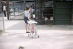 Slides 02 037
