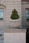 DSCF1303