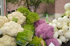 DSCF0851