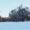 P1180217