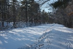 DSCF4869
