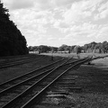 DSCF3908
