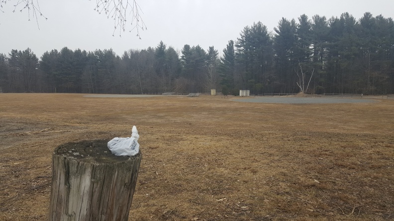 20190329_095331.jpg