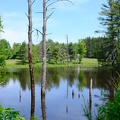 DSCF3416