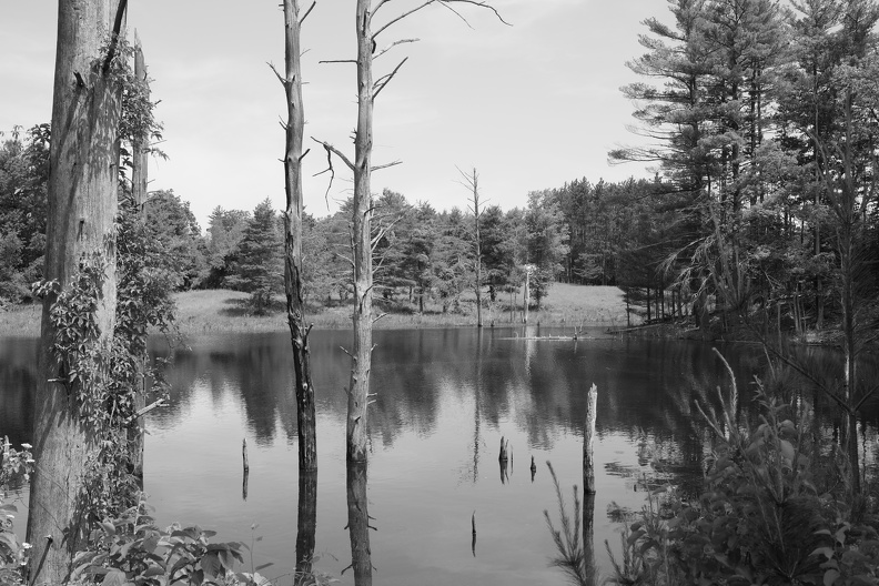 DSCF3417.JPG
