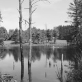 DSCF3417