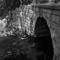 DSCF3429