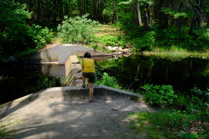 DSCF3434.JPG