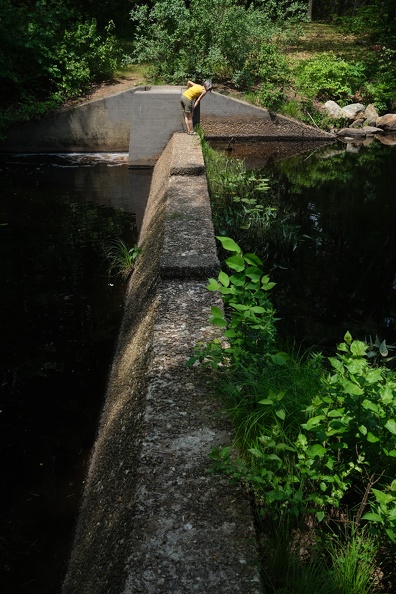DSCF3436.JPG