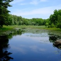 DSCF3443