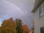Image041