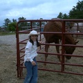 nicolehorse3