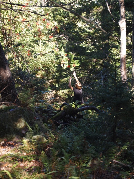 PA011585.JPG