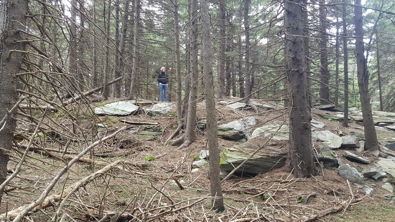 2019-04-07_11.28.47.jpg