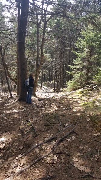 2019-04-07_11.40.09.jpg