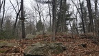 2019-11-17 11.46.19