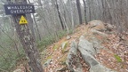 2019-11-17 11.46.35