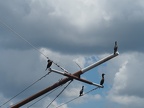 P7280062