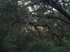 P7290111