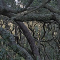 P7290113