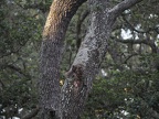 P7290116