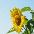 P7260194