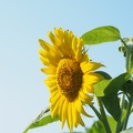 P7260195