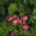 P7260303