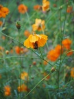 P8230285