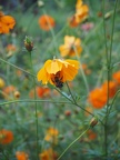 P8230286