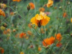 P8230287