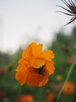 P8230288