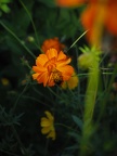 P8230293