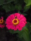 P8230295
