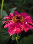 P8230297